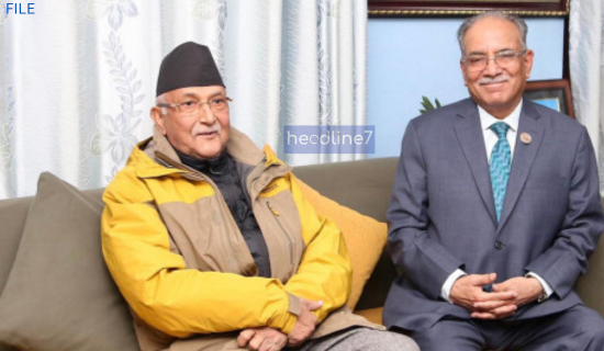 चुनावी तालमेलबारे ओली र प्रचण्डले गरे छलफल