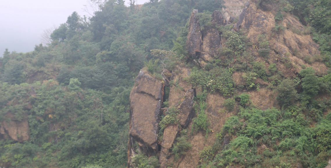घाँस काट्ने क्रममा दुर्घटना : भिरबाट लडेर दुई जनाको ज्यान गयो