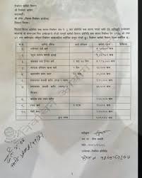 रवि लामिछानेको चुनावी खर्च विवरण सार्वजनिक