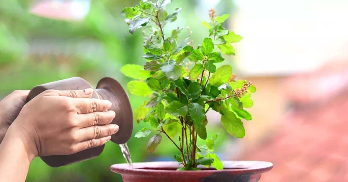 हरिशयनी एकादशी : आज विष्णु मन्दिरमा भक्तजनको भीड