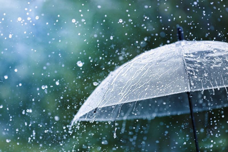 प्रिमनसुनमै सामान्यभन्दा तीन गुणा बढी वर्षा
